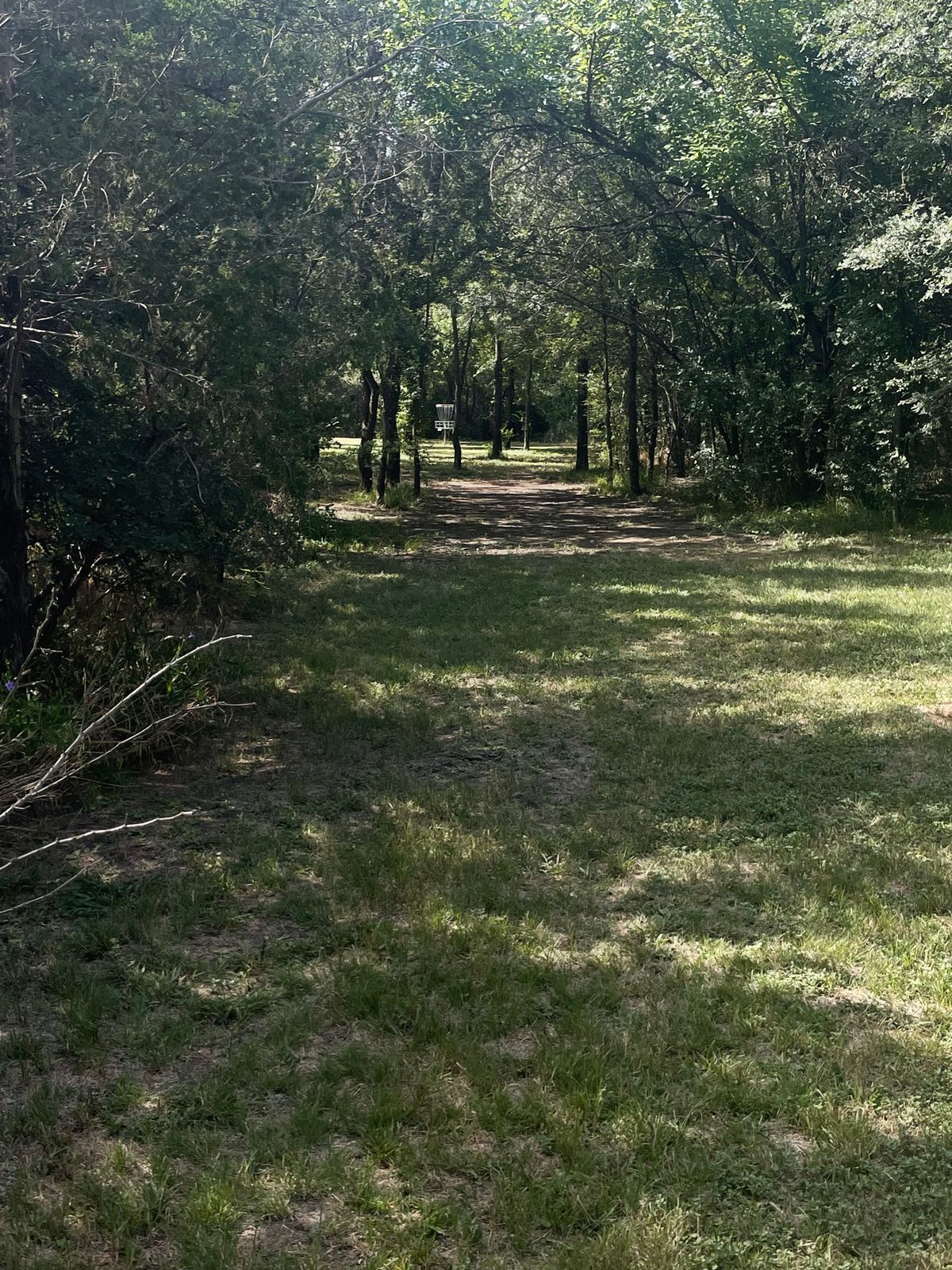 Hole 8