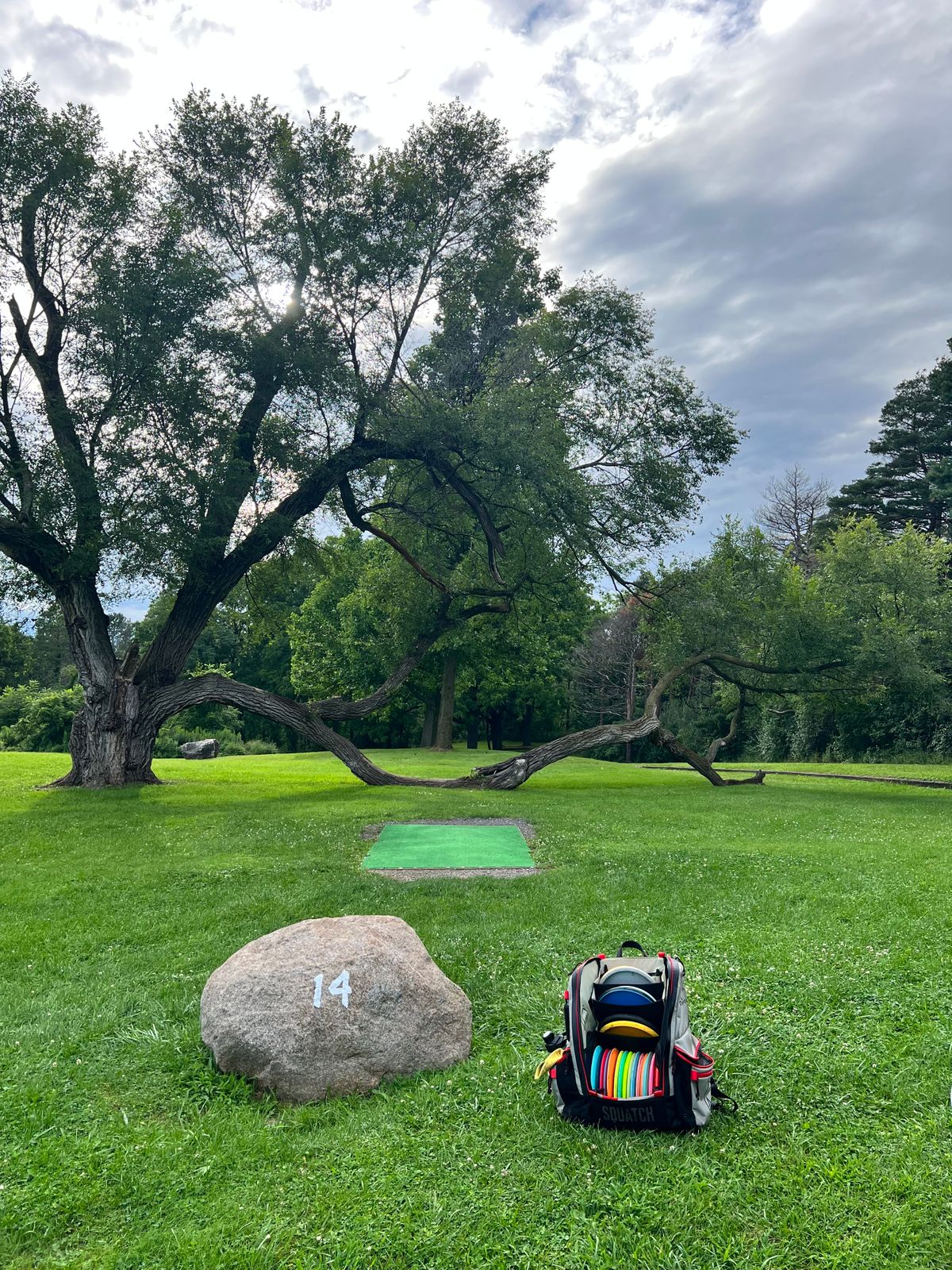 Hole 14 Tee