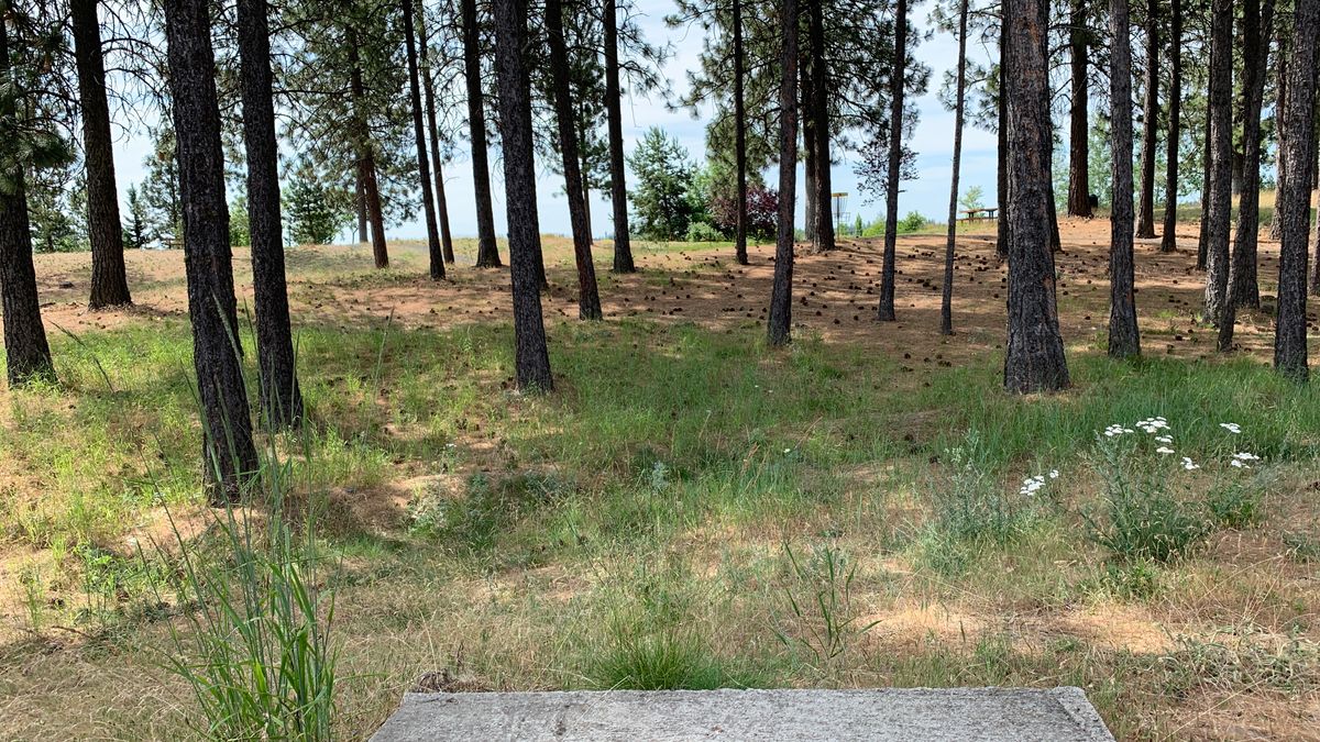 Hole 2