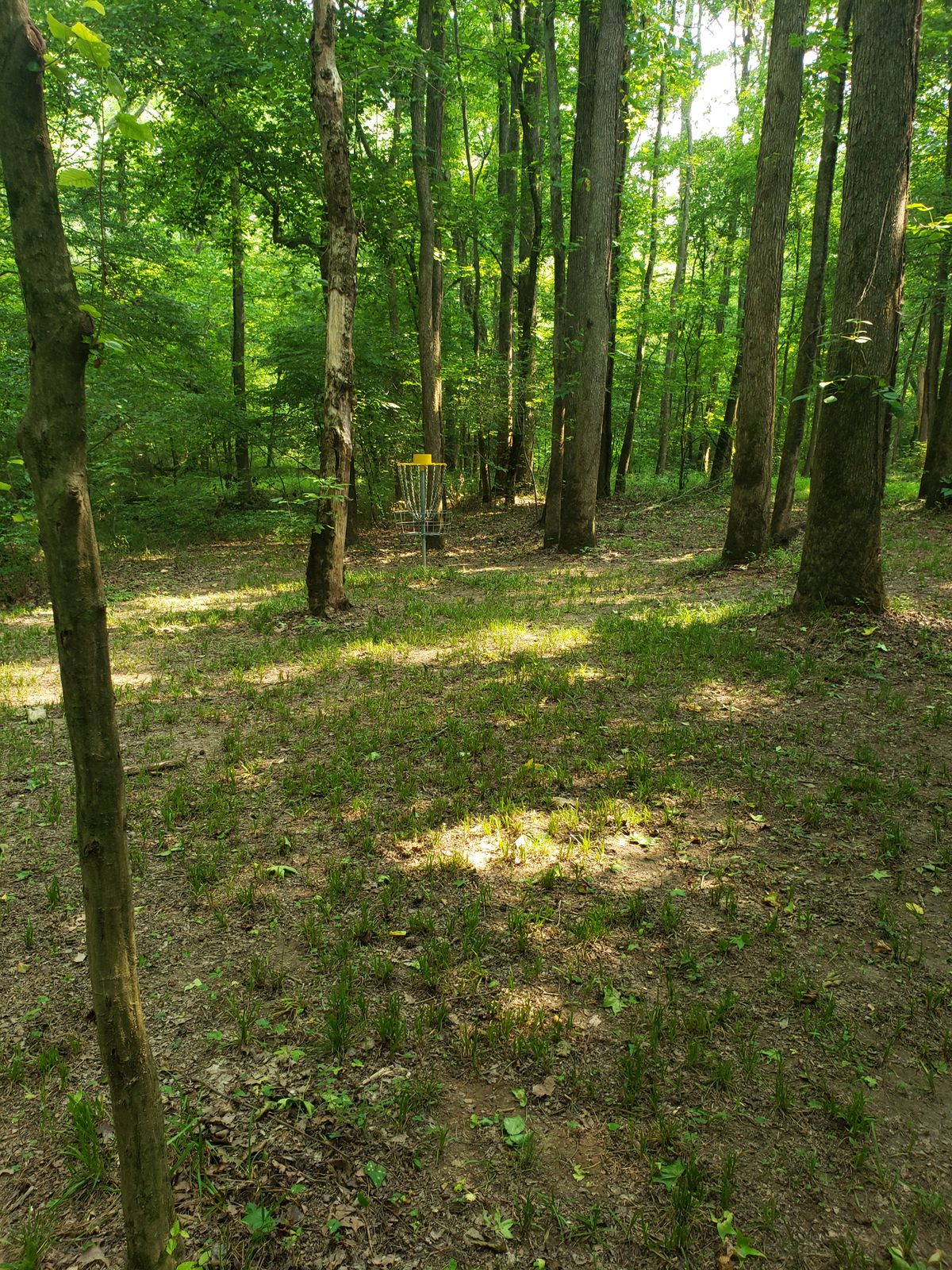 Hole 6 basket