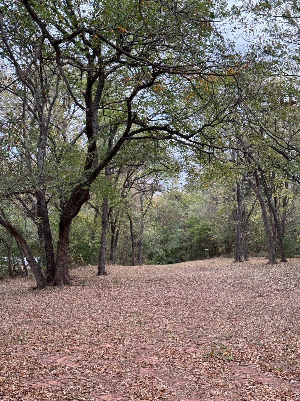 Autumn upshot. Hole 5.