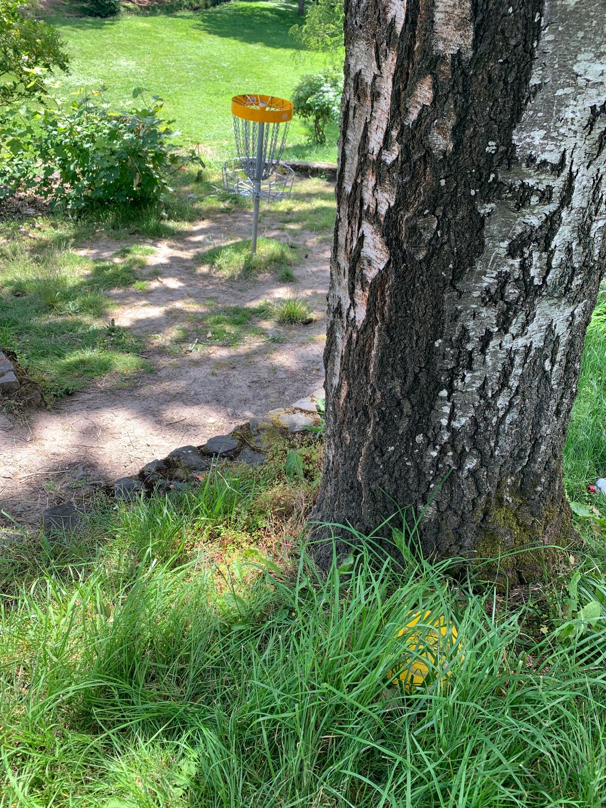 Yellow Star Lite Wraith found (7/4/22). I put it in the grass by this tree behind Hole 9’s basket.