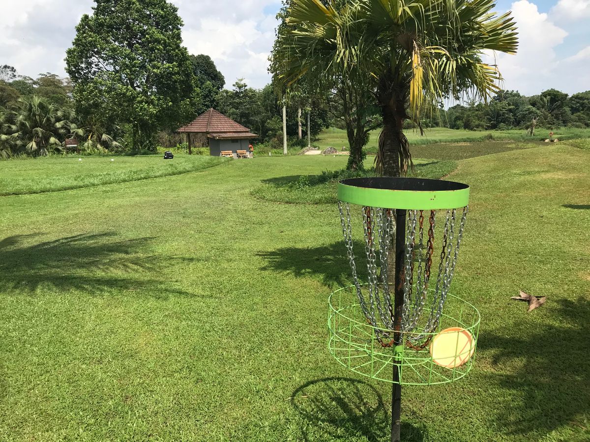 Hole 5 basket looking back up the fairway