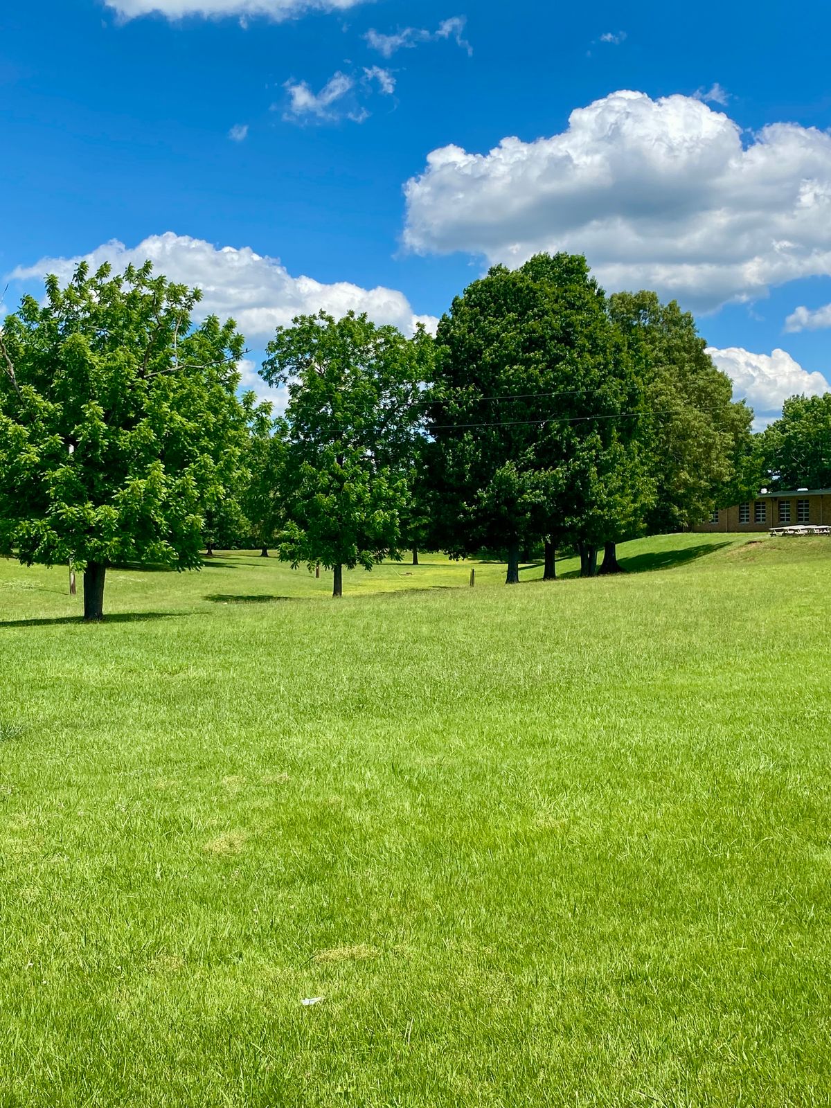 Hole 7