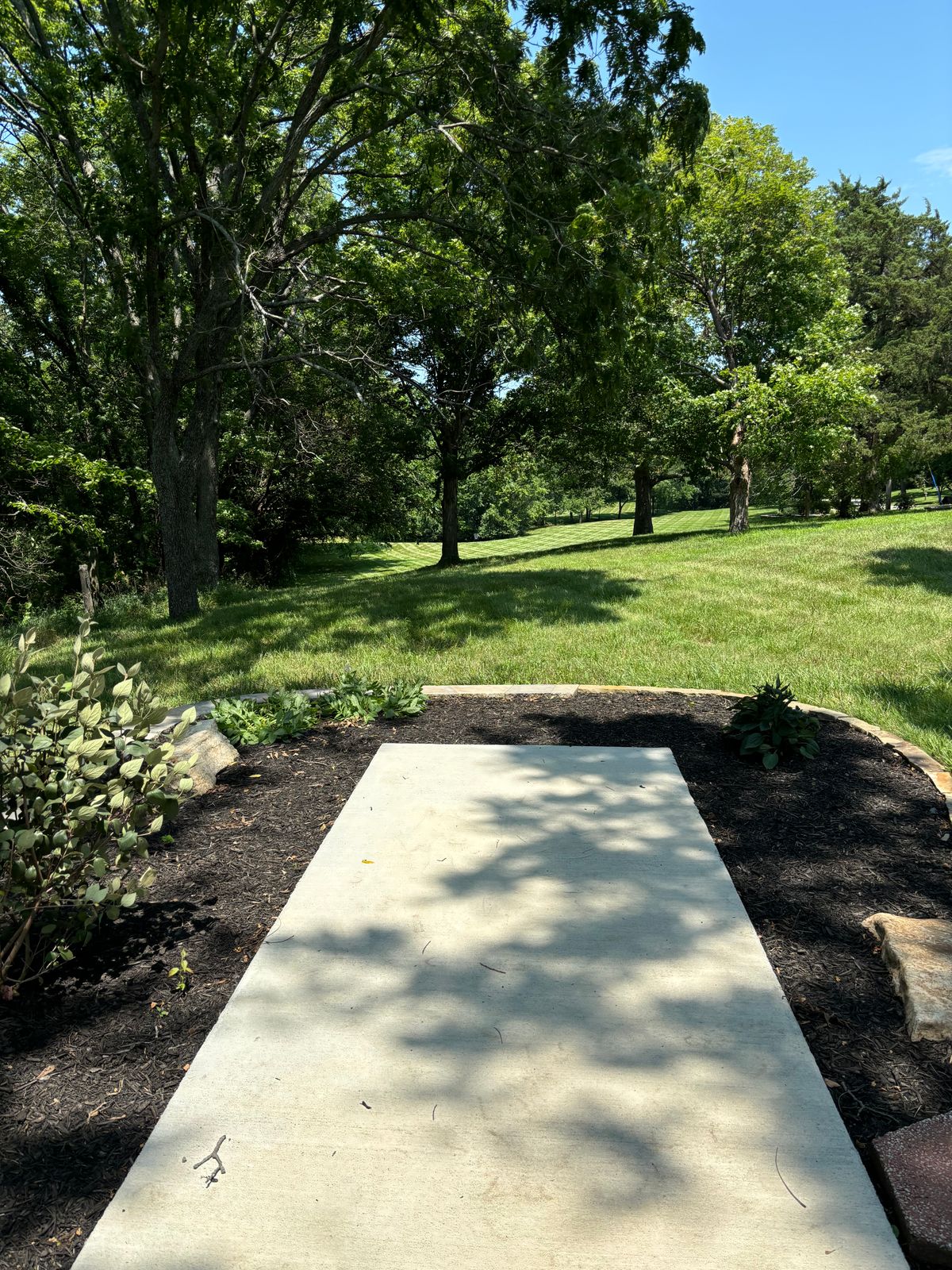 Tee pad Hole #5 Harold’s Roost
