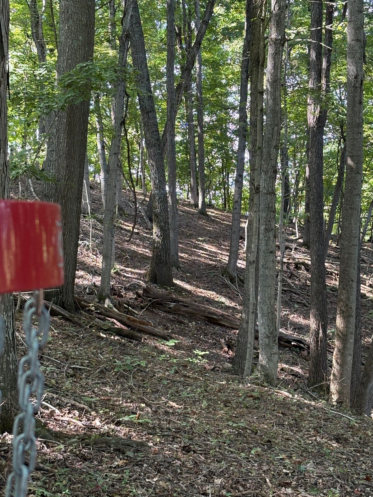 Hole 6 looking back to tee