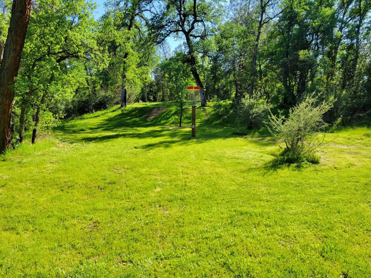 Hole 4 in its elevated position.