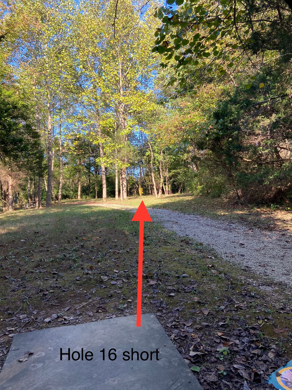 Hole 16 short