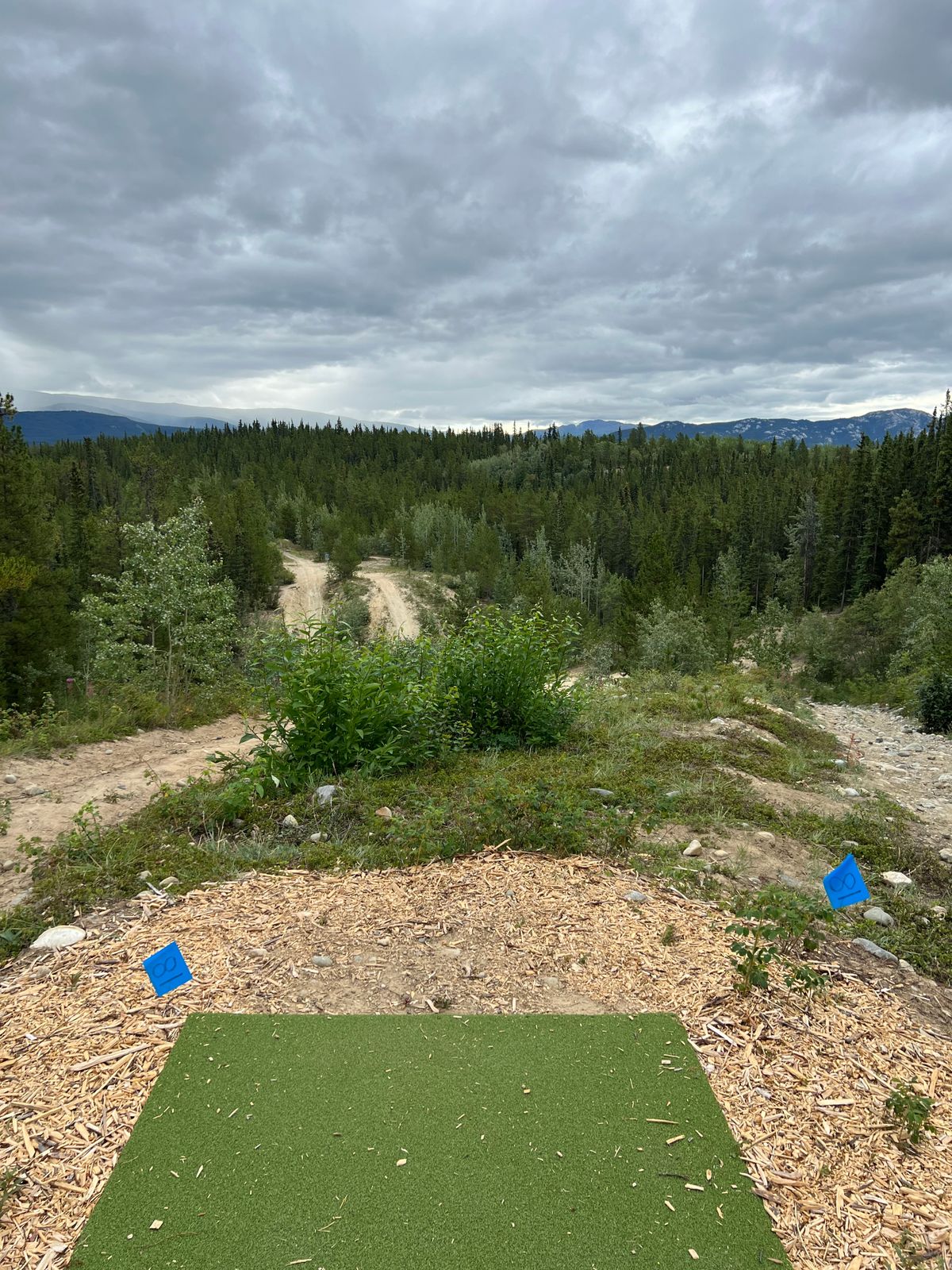 Pro