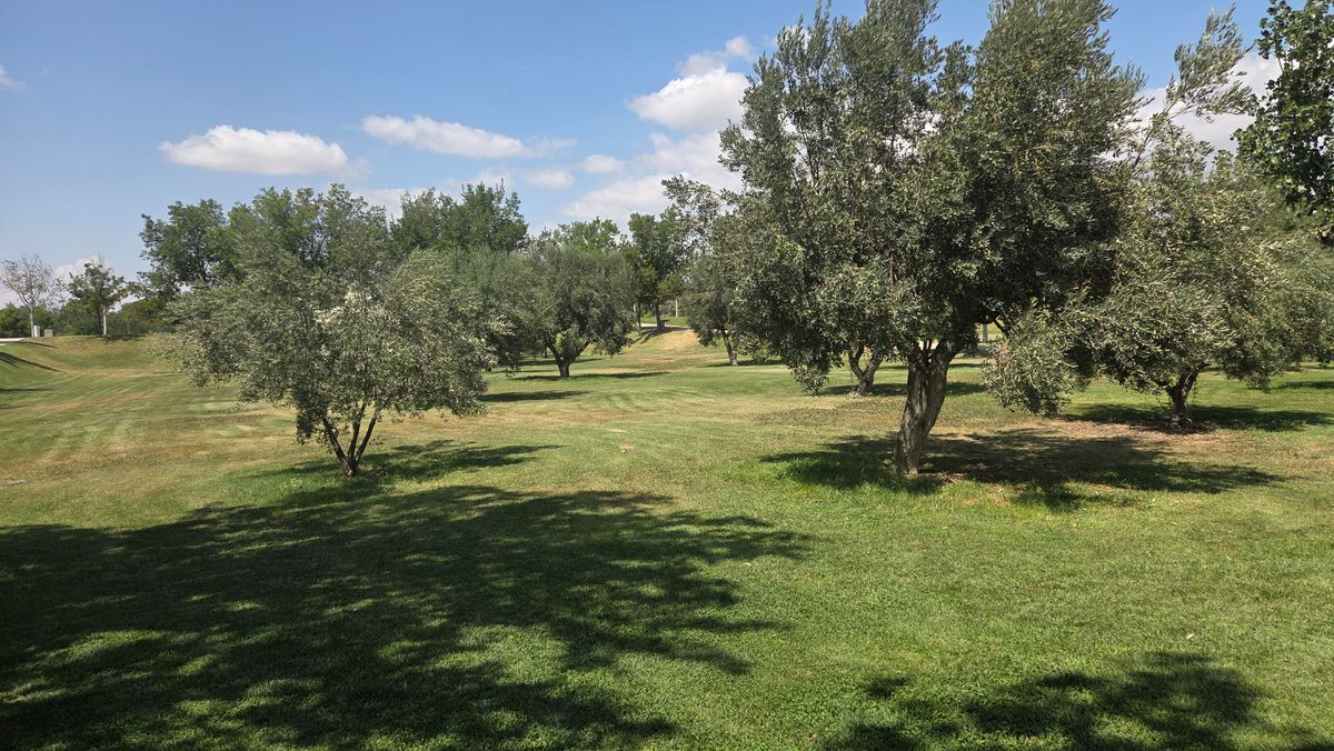 Hole no. 2