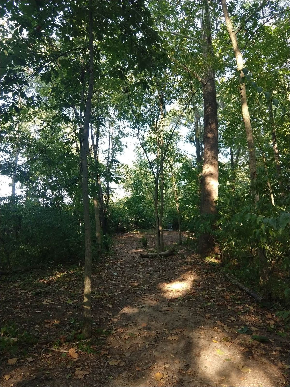 Hole 11