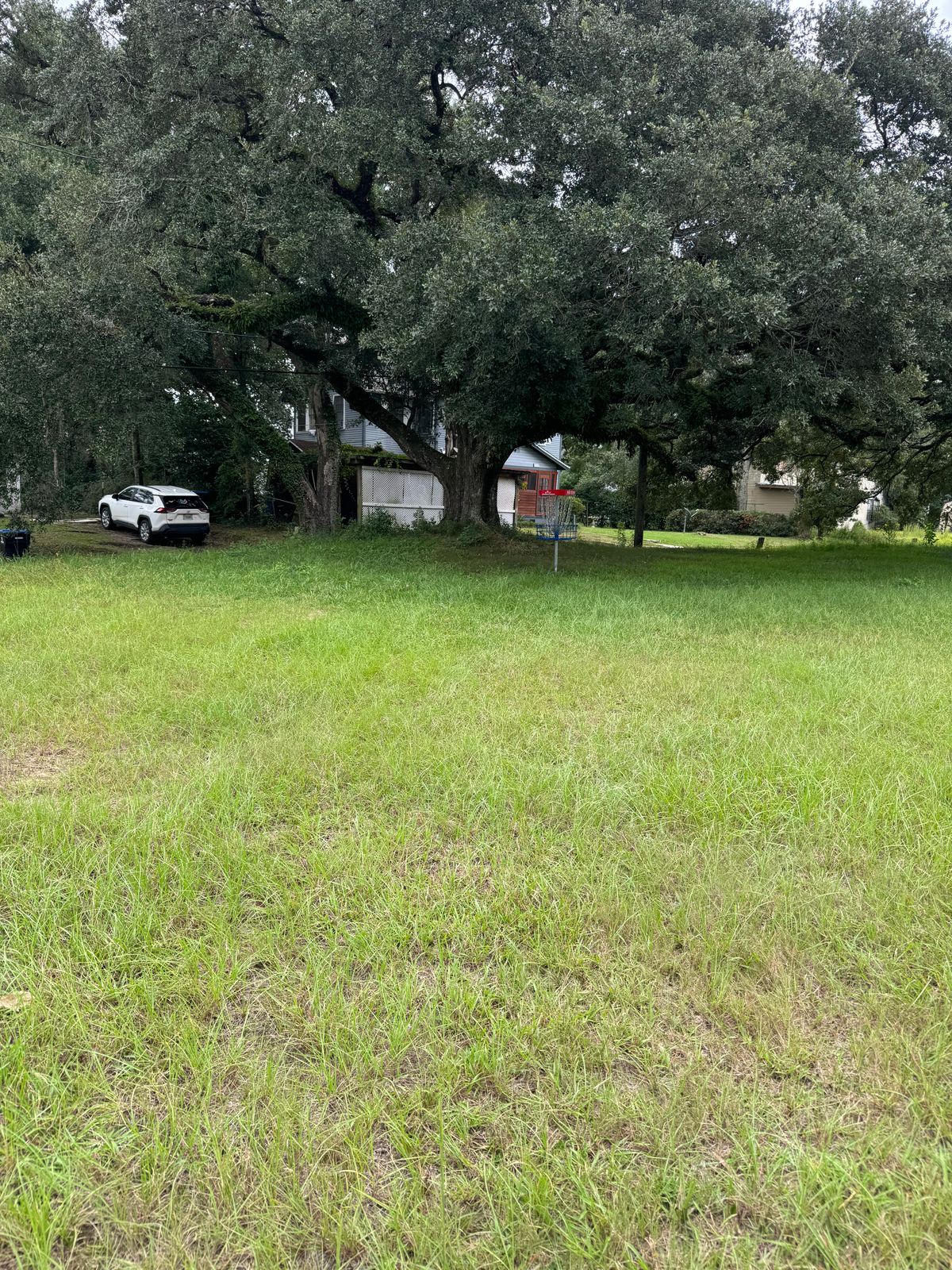 Hole 14 basket