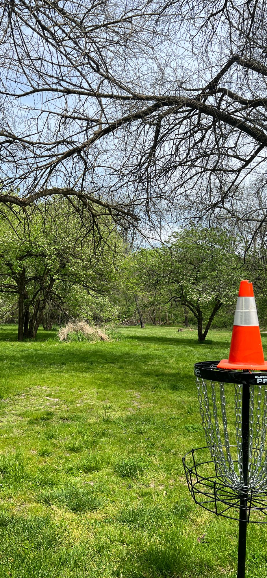 Hole 8
