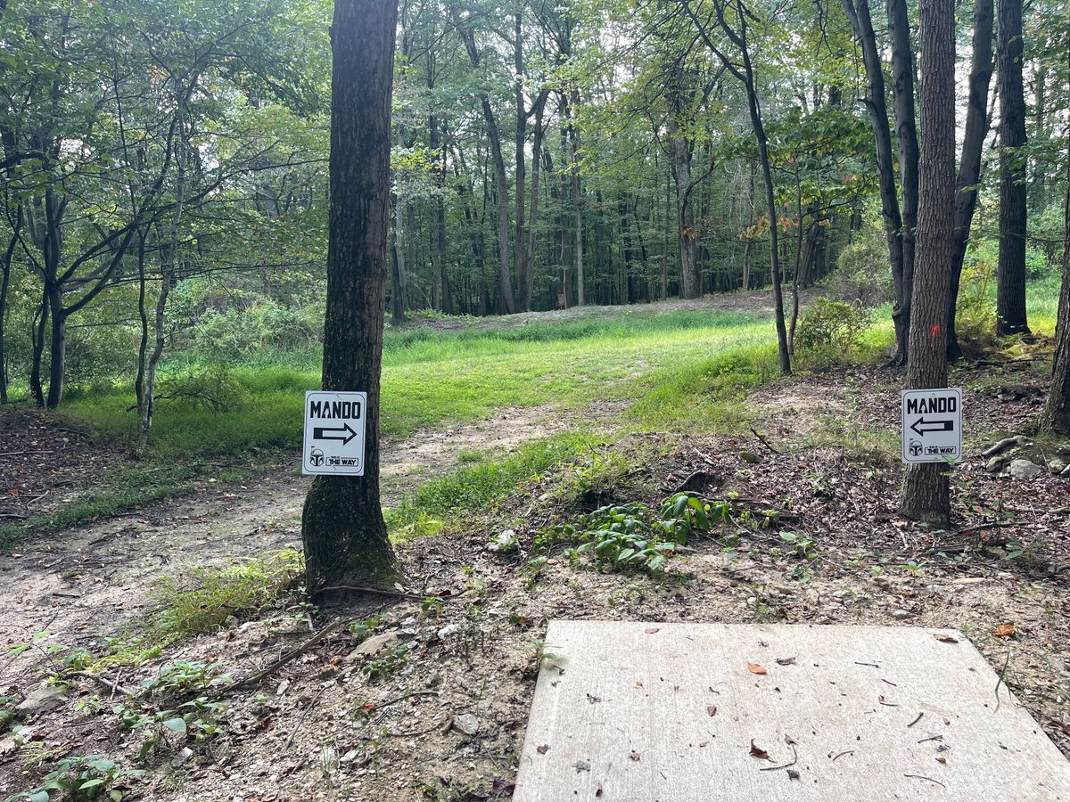 Short tee - hole 5