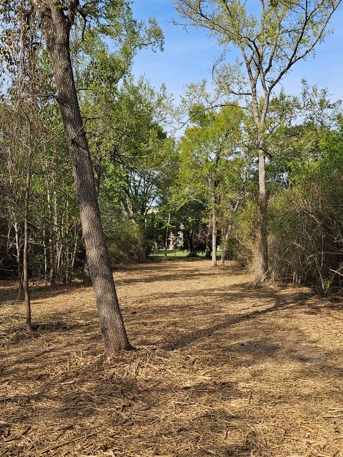 Hole 16 Fairway (continued)