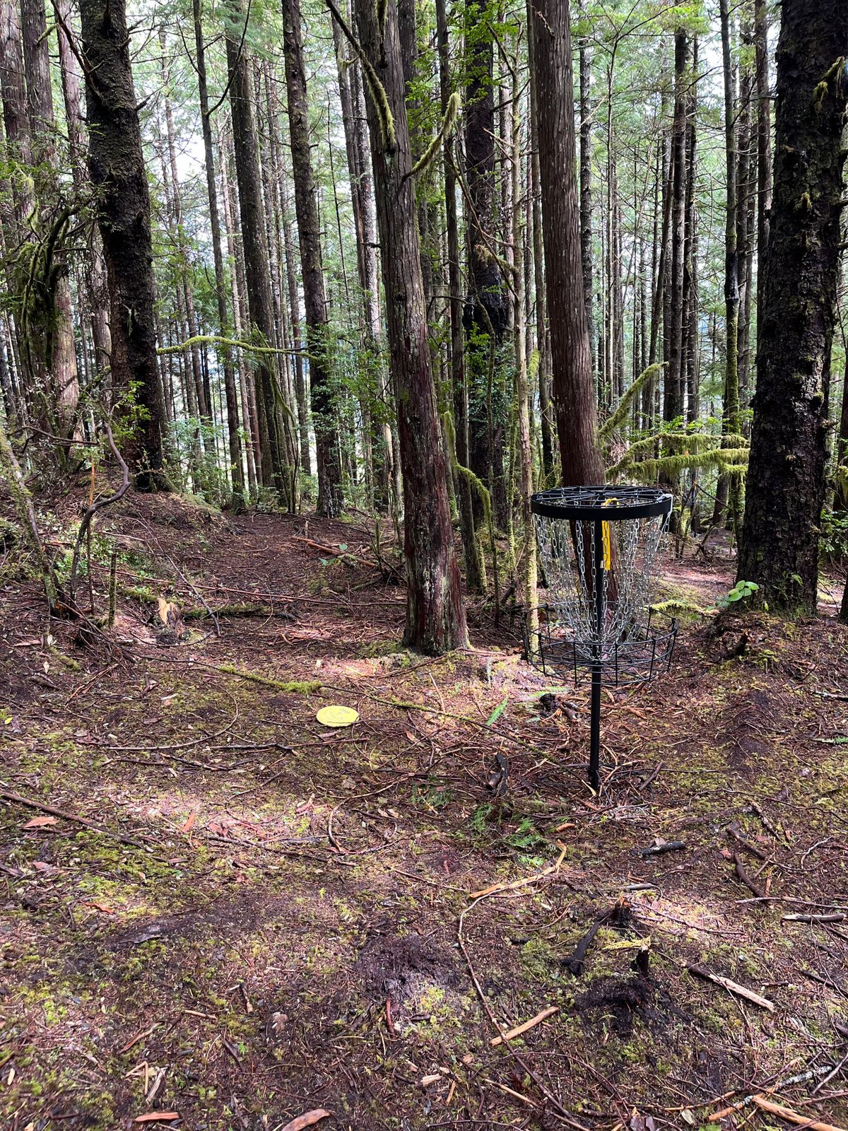 Close to an ace!!