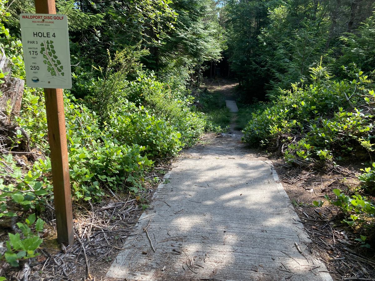 Hole 4 Aug 2022