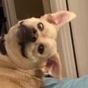 brettjm