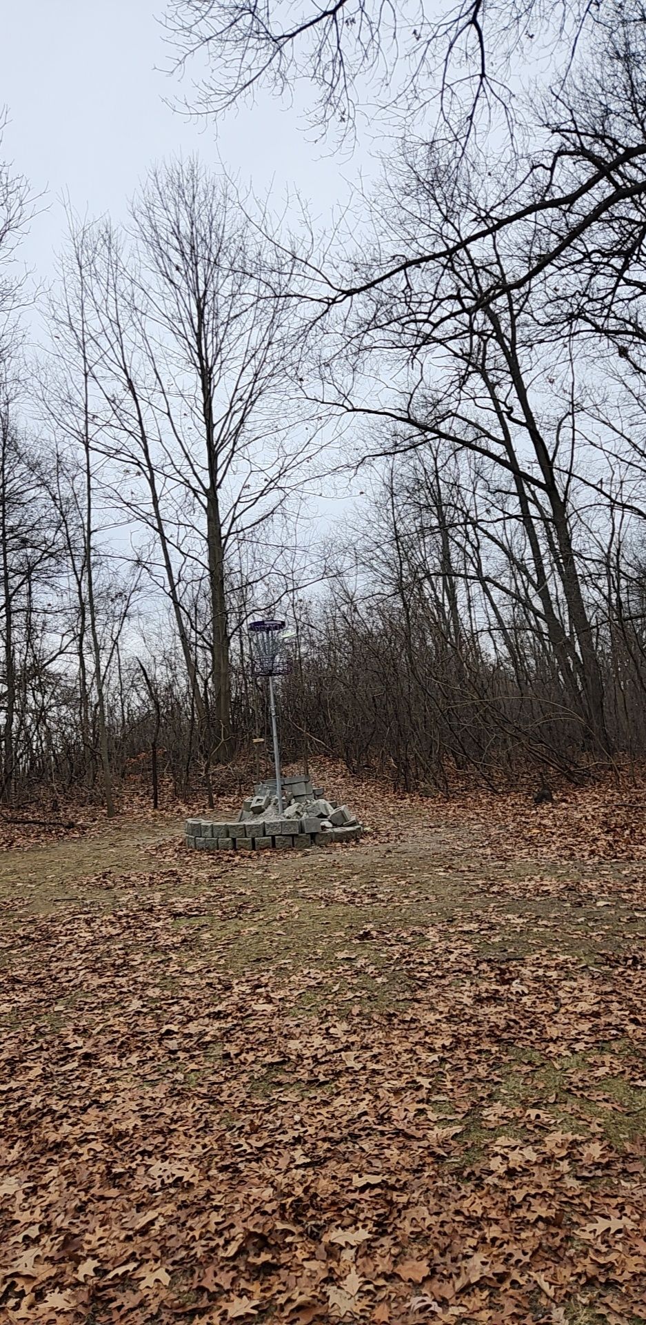 Elevated Basket on 10