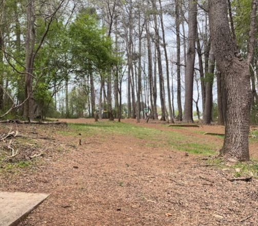 Hole 15: Par 3