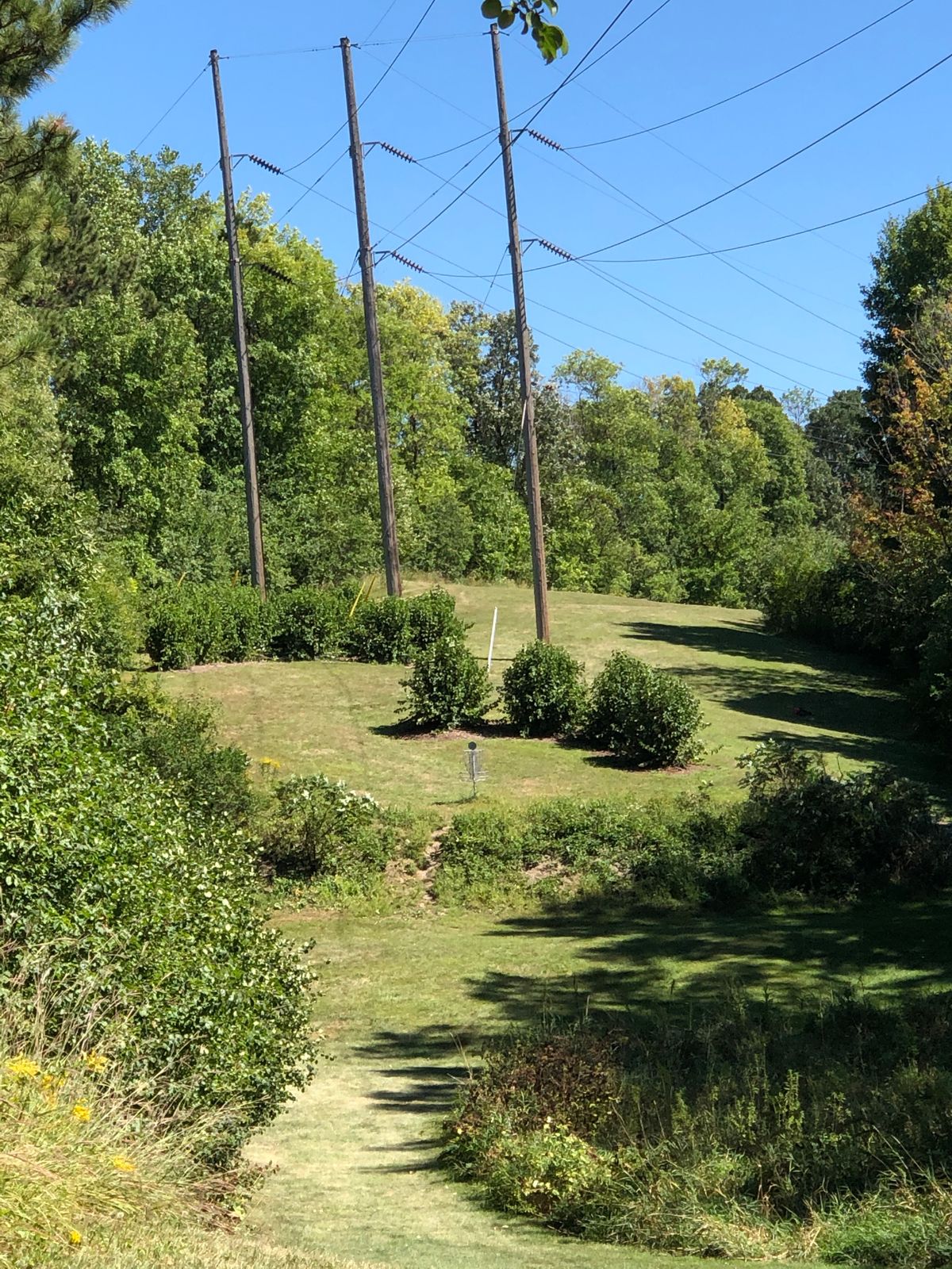 Hole 15 TeeBox to Short Basket