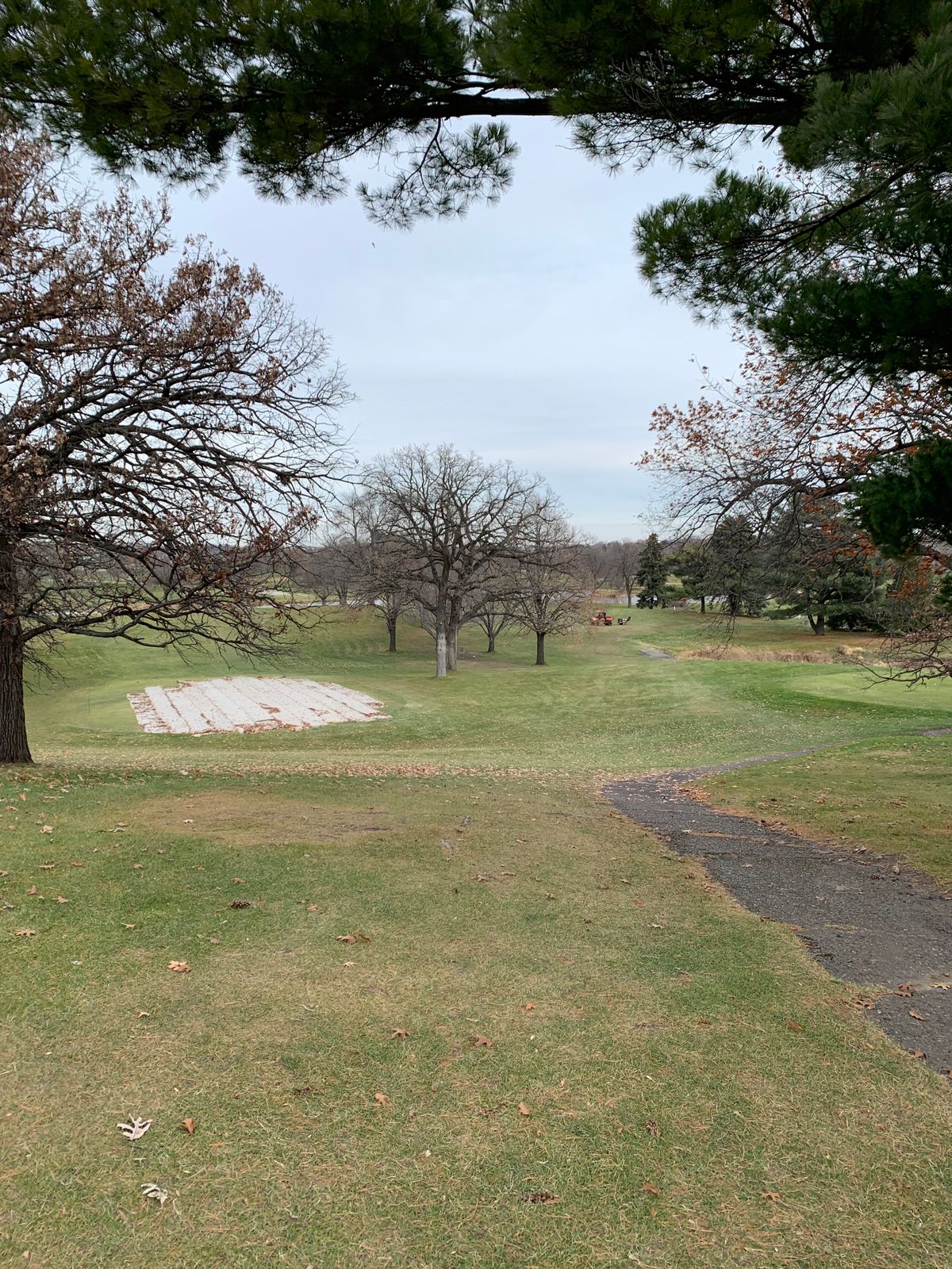 Looking down at the hole 5 pin from the tee.