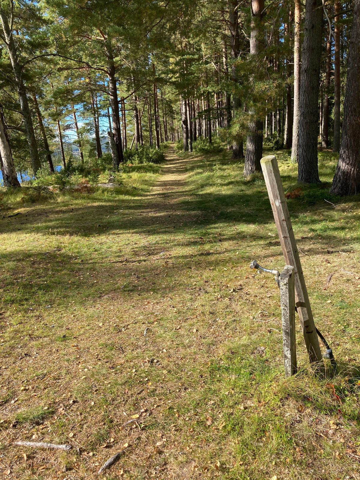 Tee 2 lite till vänster om pinnen