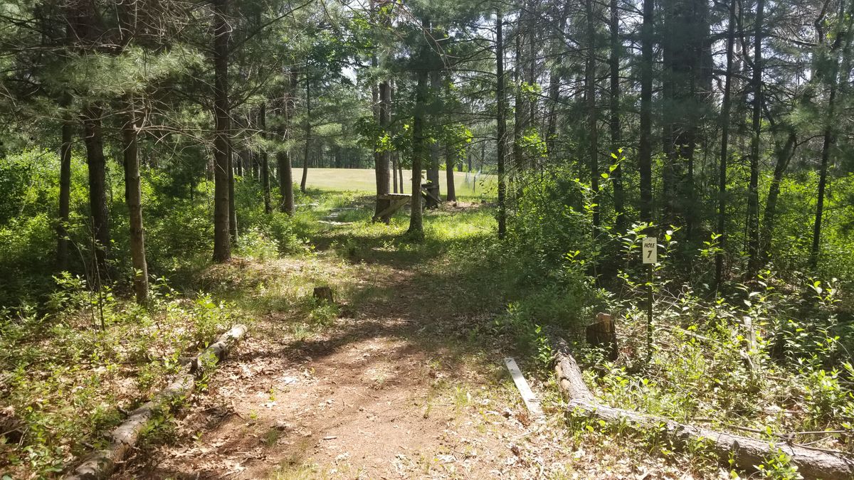 Hole 7.