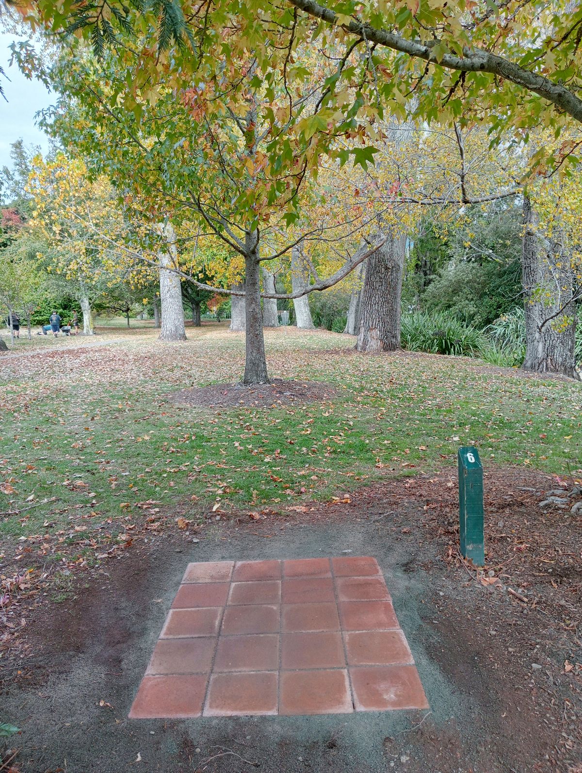 Hole 6