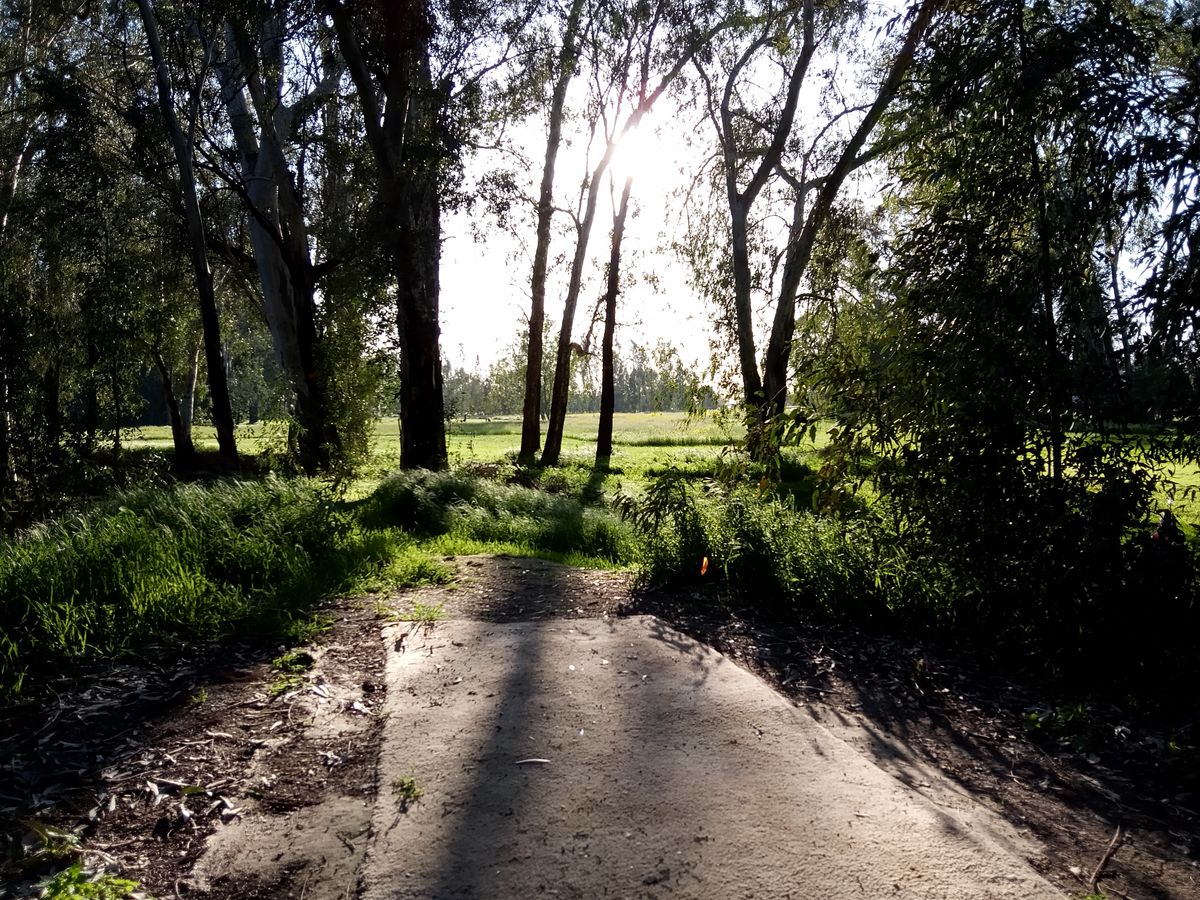 Hole 11 known as Horseshoe