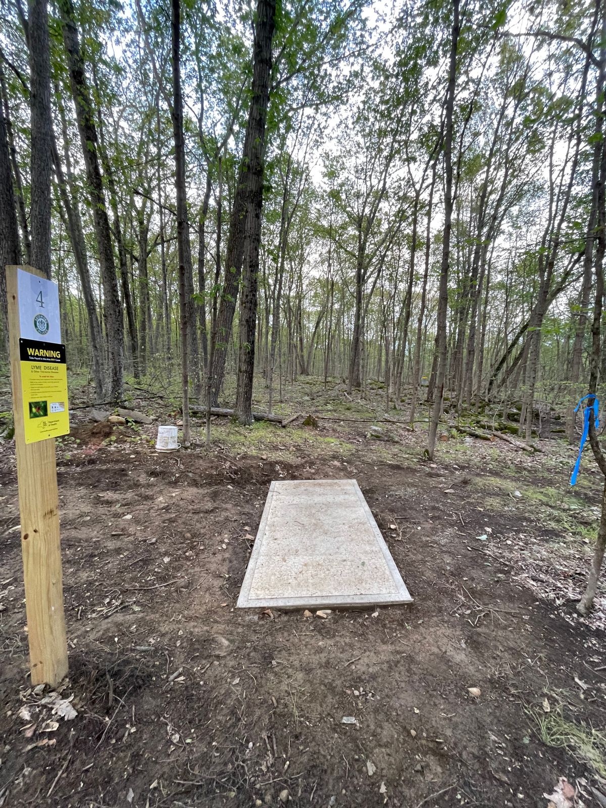 Hole 4 Tee