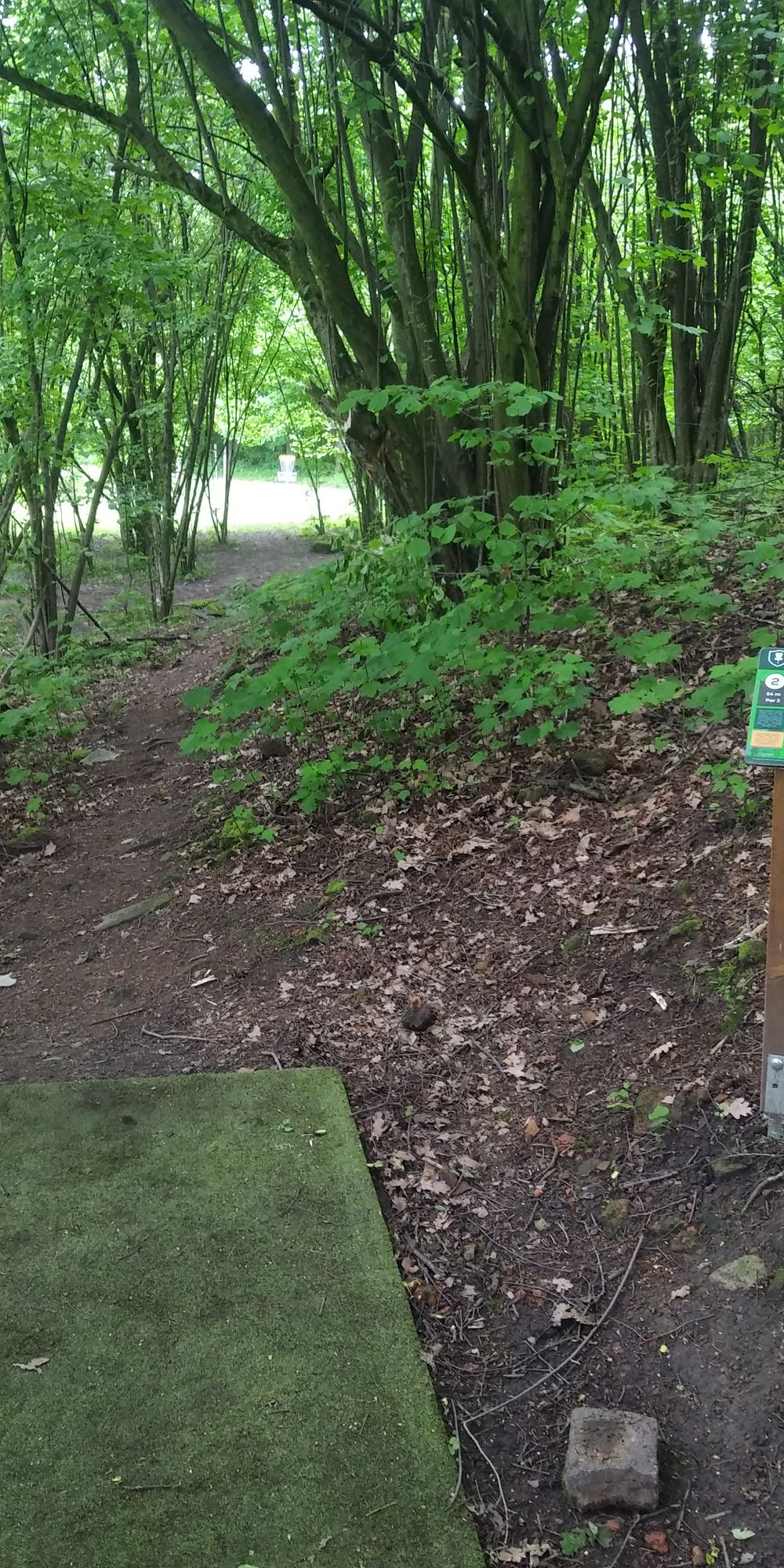 Hole no. 2