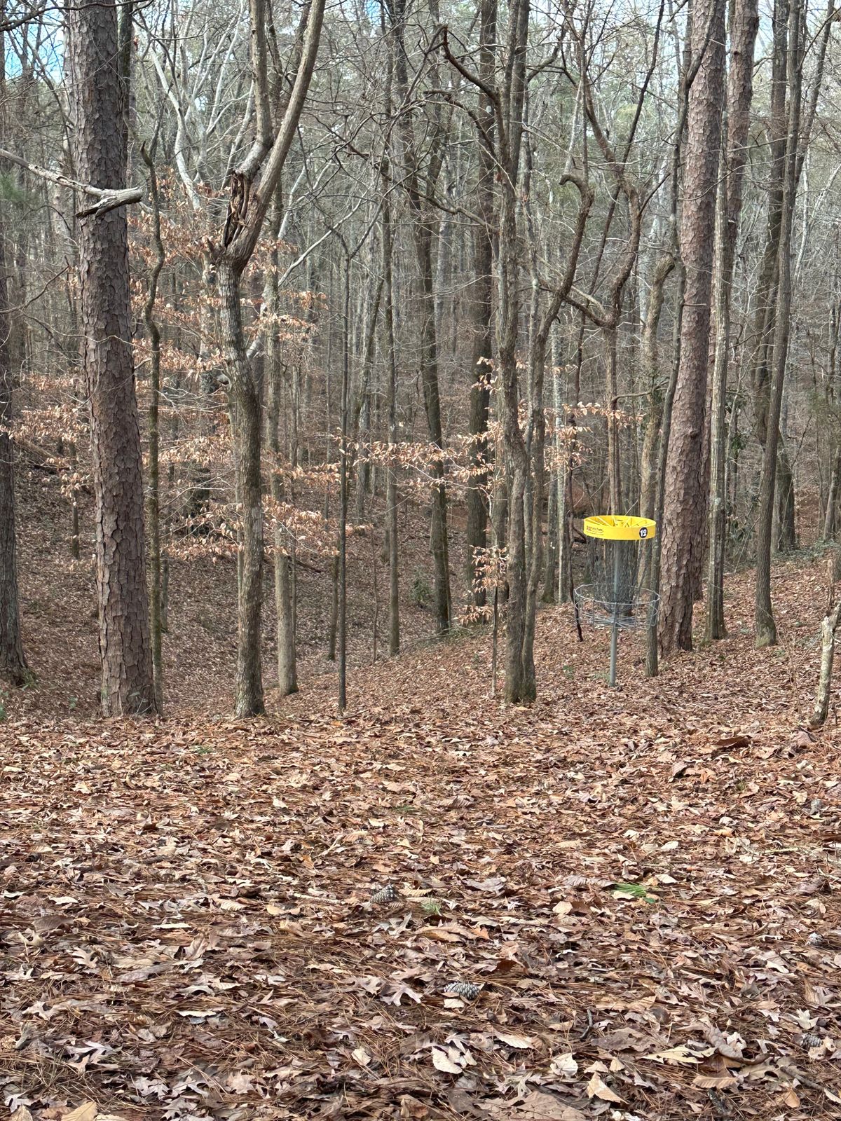 Hole 12 looking down the the fairway