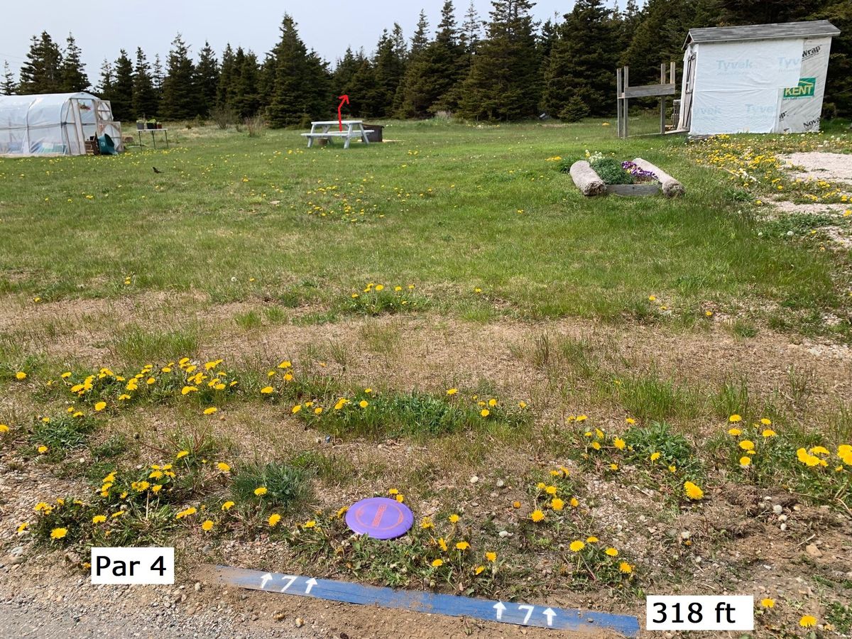 Hole 7 
Par 4 - 318'
