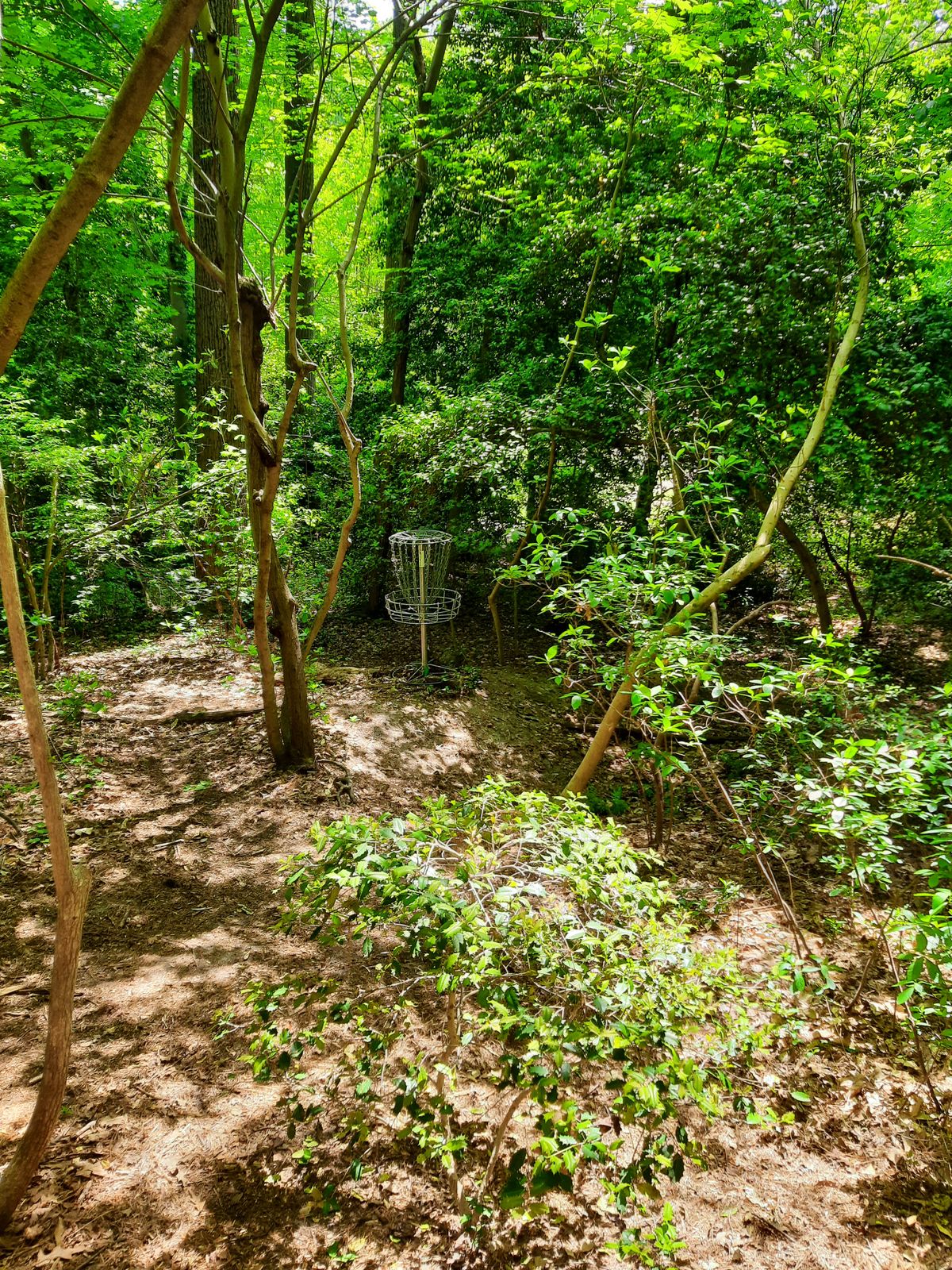 Hole 13 Green