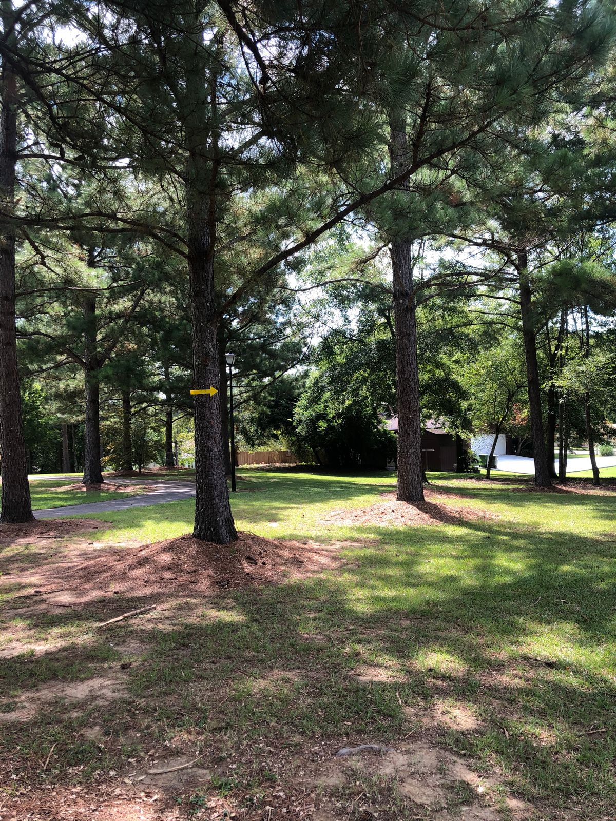 Hole 4