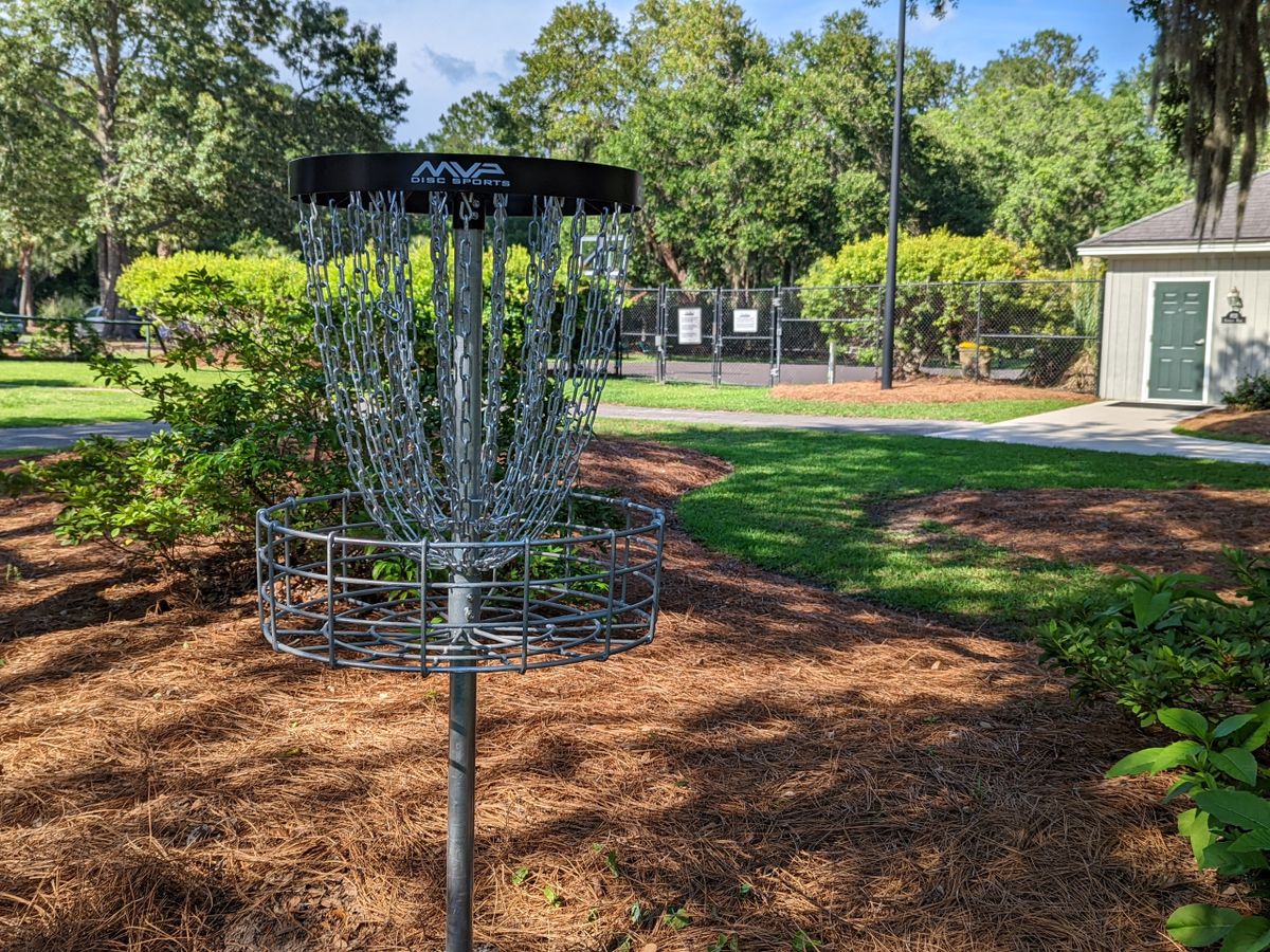 "Pool Area" Basket (Holes 4 and 5 Target)