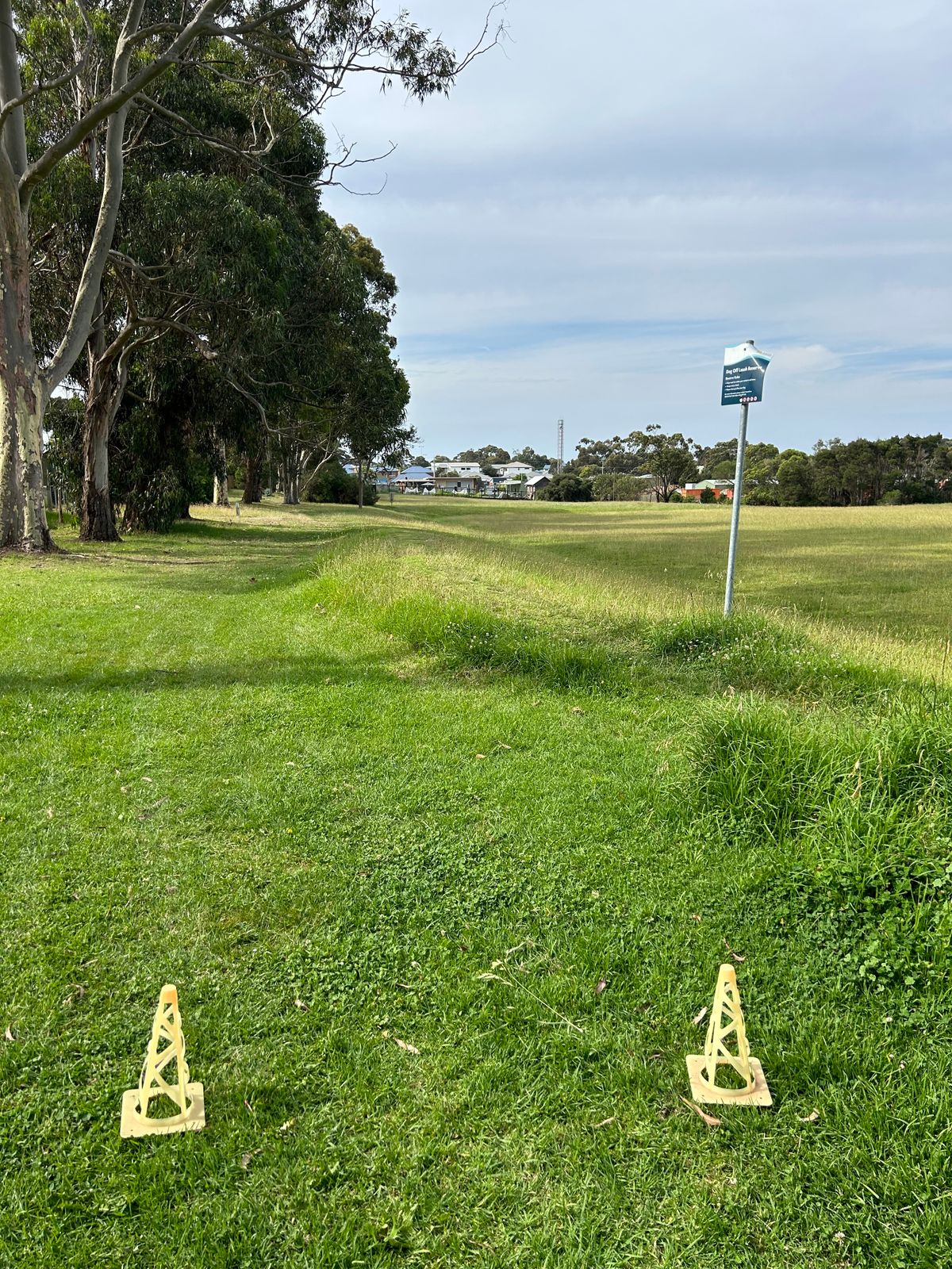 Hole 14