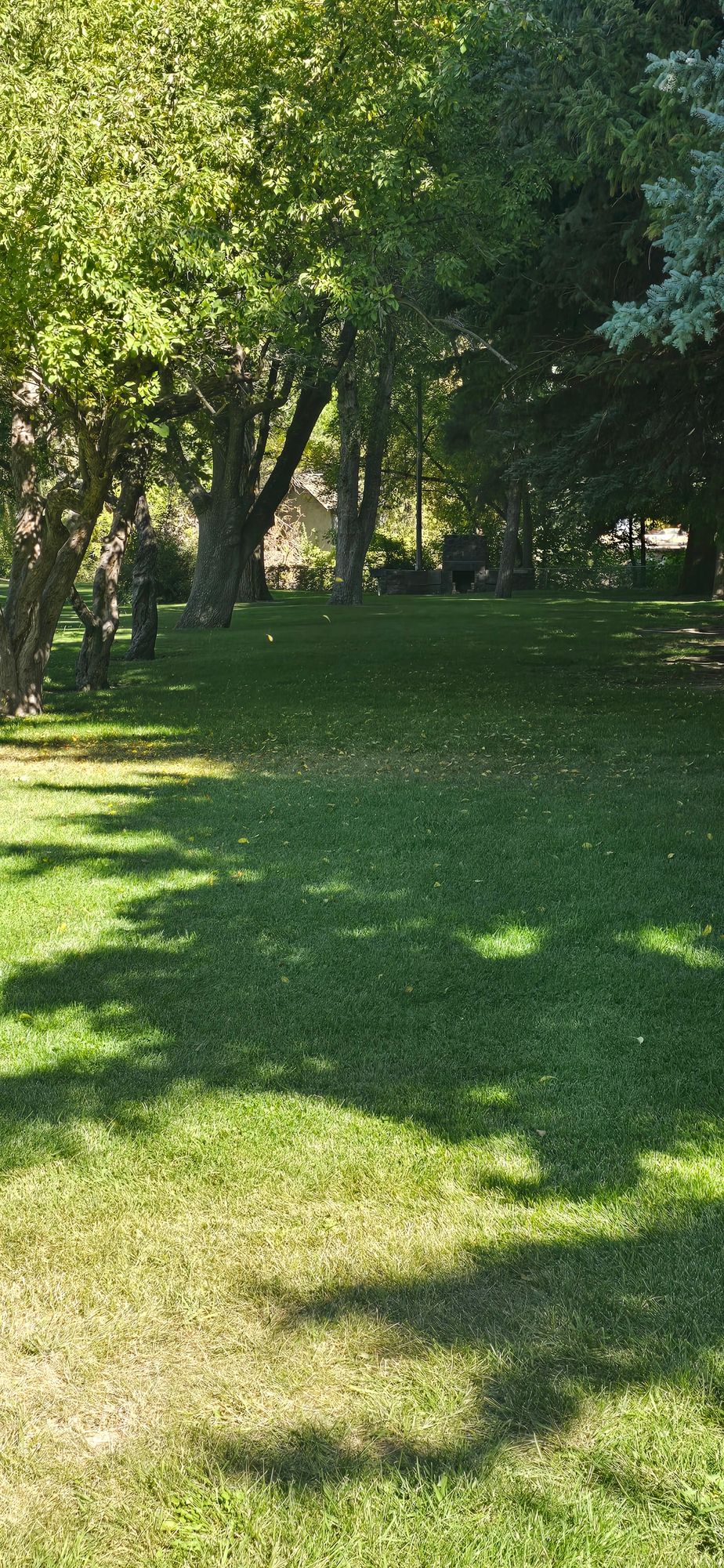 Hole 4