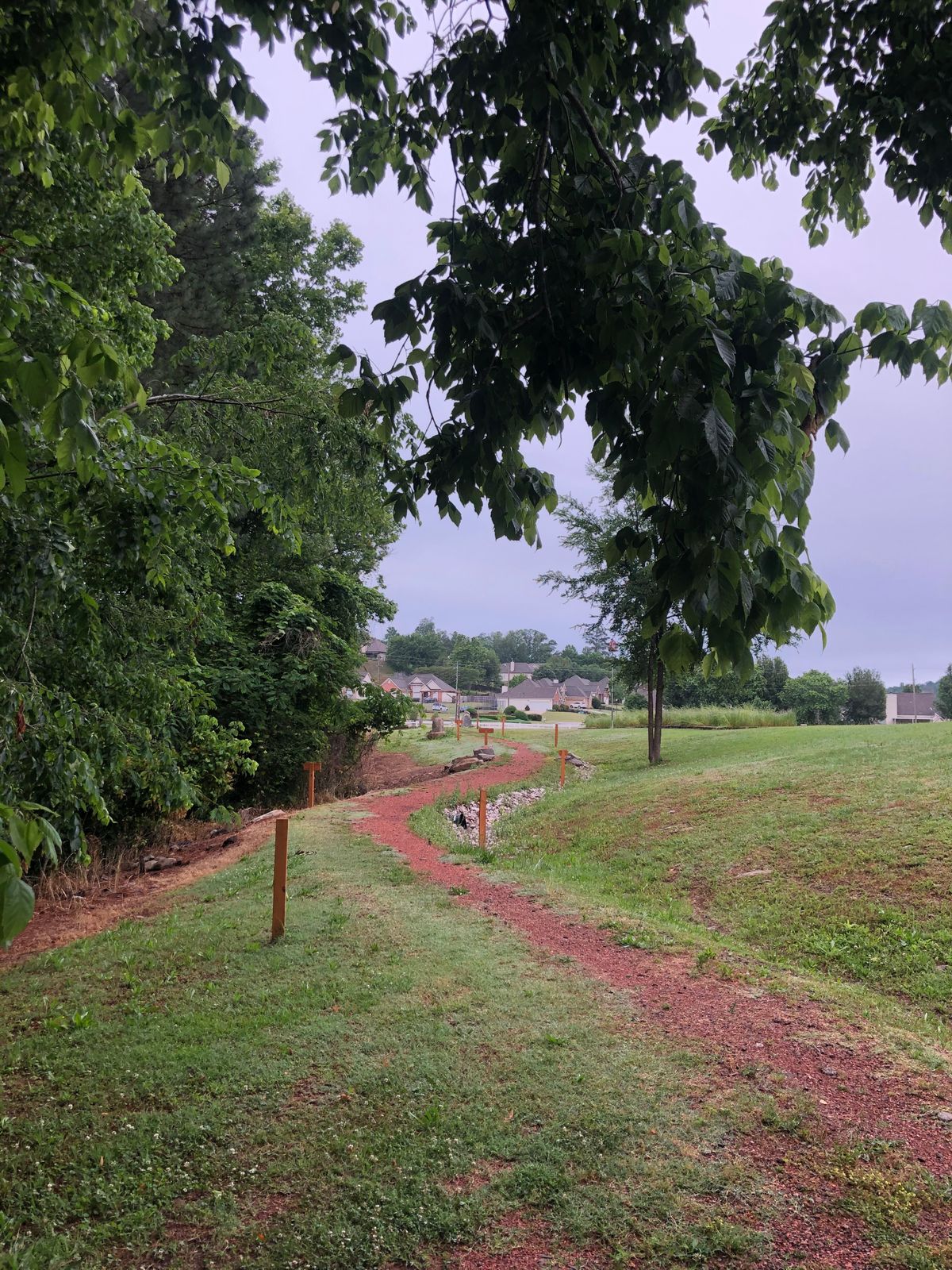 Hole 6