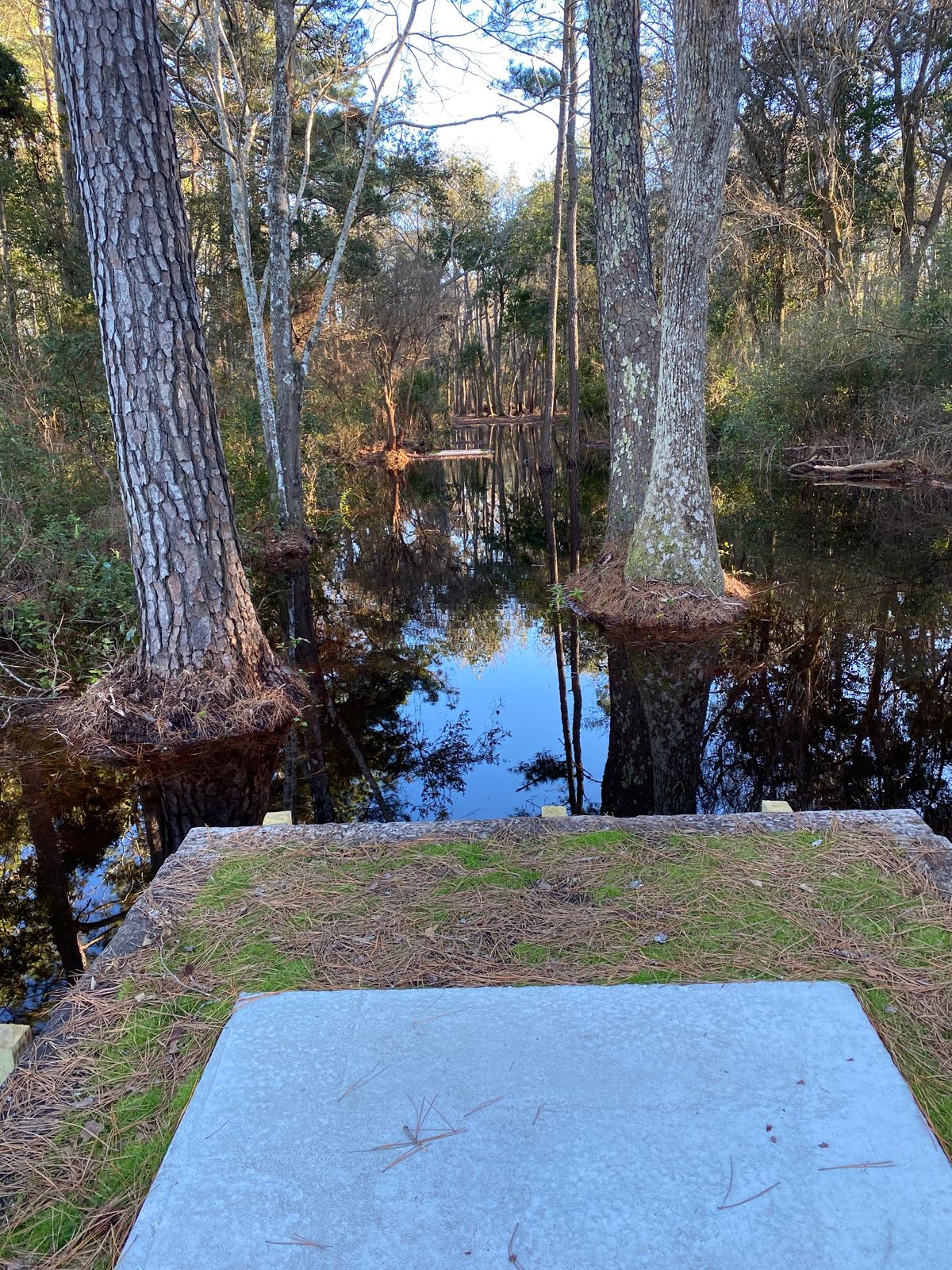 Hole 18!
