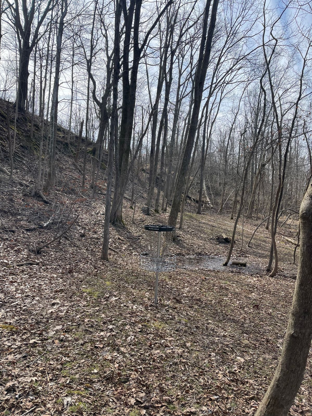 Hole 13 (Green)