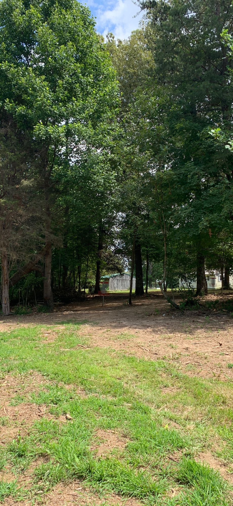 Hole 1 basket.