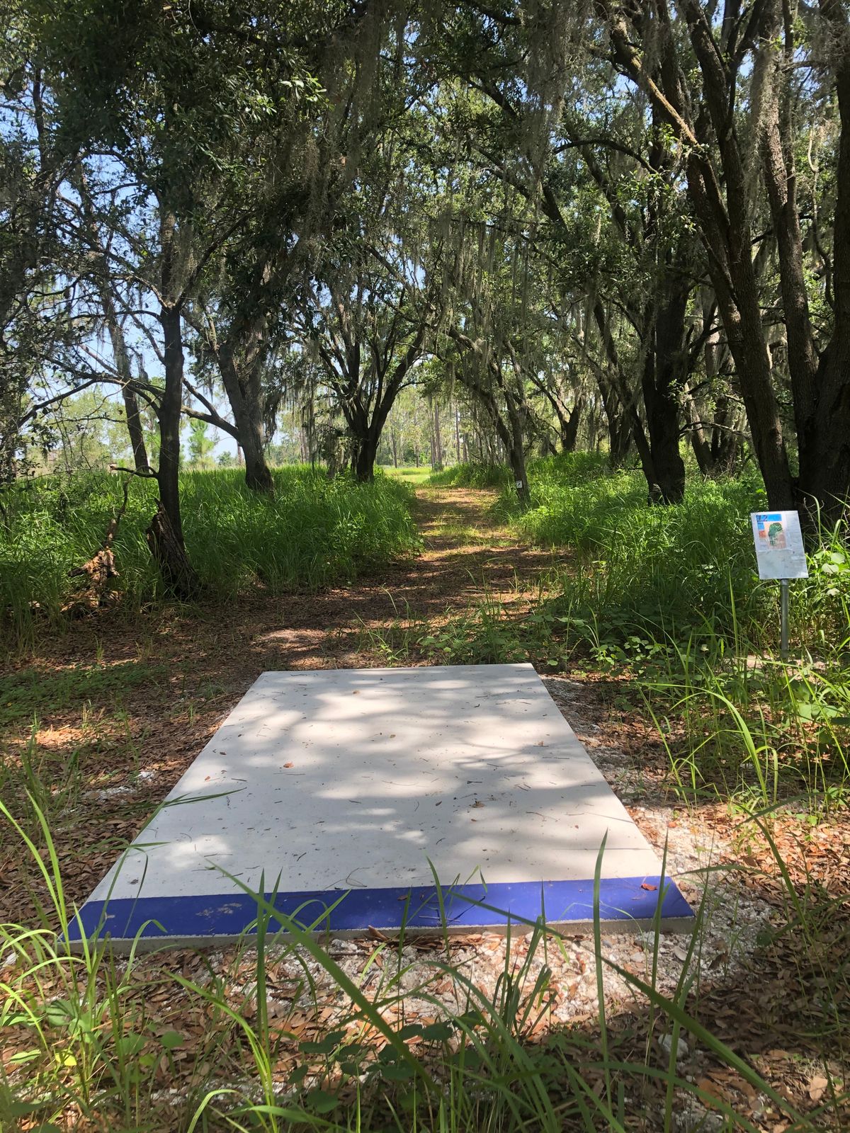 Hole 12 Blue Pad