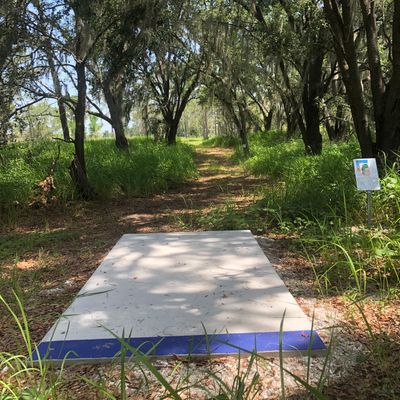 Hole 12 Blue Pad