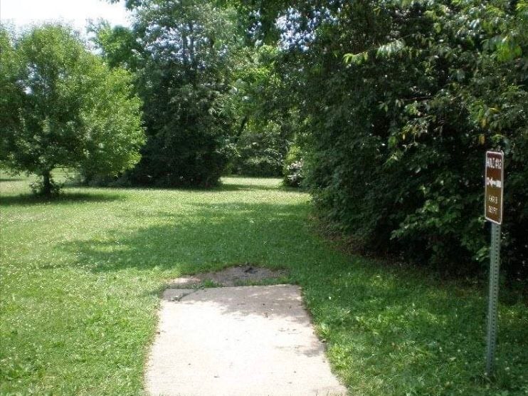 12 tee in the past