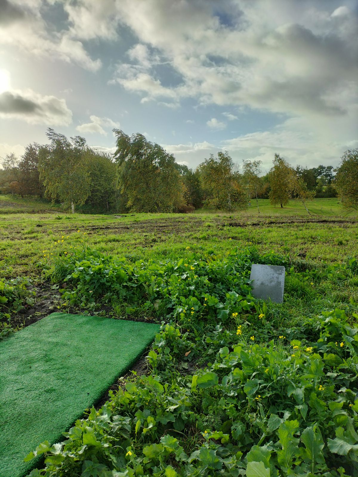 Tee hole 3 - RHBH downhill, enjoy!