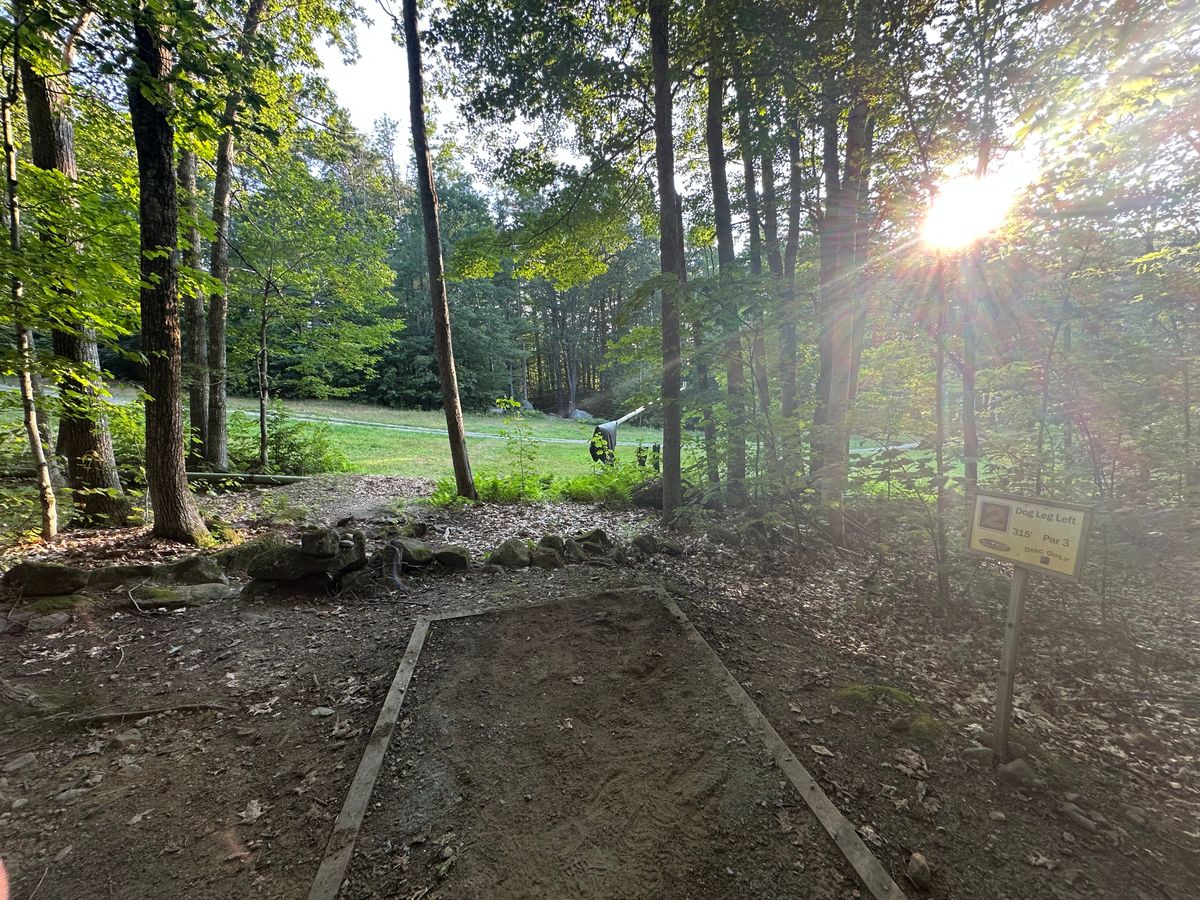 Tee pad 2