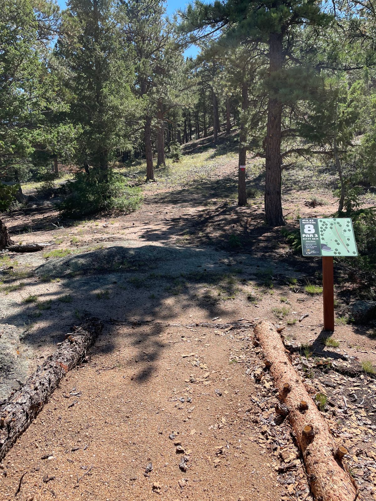 Hole 8 tee