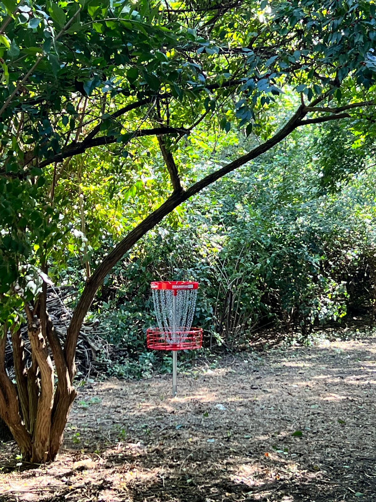 Hole 10